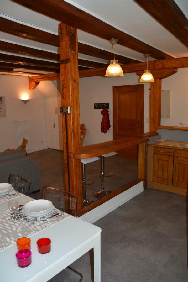Le Cerf Apartment Colmar Exterior photo